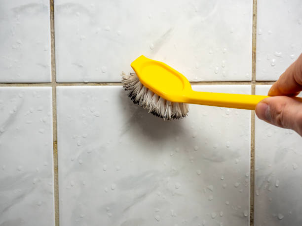 Trusted Sheboygan, WI Mold Removal Experts
