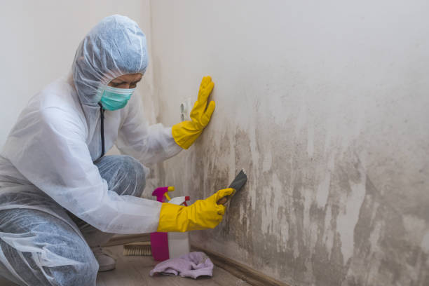 Best Crawl Space Mold Removal  in Sheboygan, WI