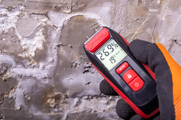 Best Toxic Mold Removal  in Sheboygan, WI