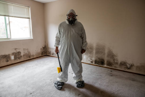 Best Mold Testing  in Sheboygan, WI